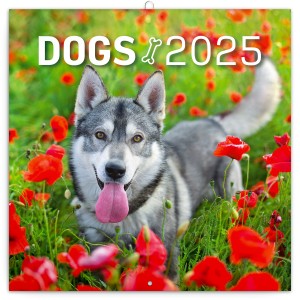 Lemeznapt�r Dogs 2027, 30 � 30 cm