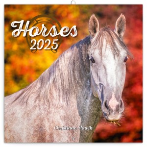 Lemeznapt�r Horses ? Christiane Slawik 2027, 30 � 30 cm