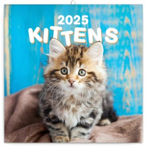 Lemeznapt�r Kittens 2027, 30 � 30 cm