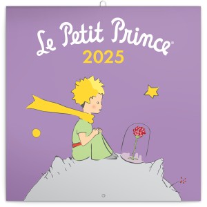 Lemeznapt�r Le Petit Prince 2027, PLAstIC FREE, 30 � 30 cm