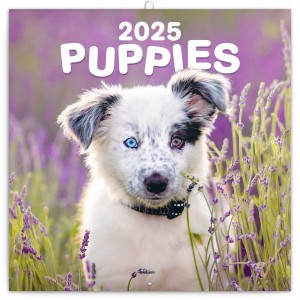 Lemeznapt�r Puppies 2027, 30 � 30 cm