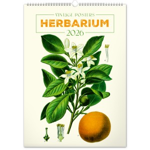 Falinapt�r Vintage Posters ? Herbarium 2027, 33 � 46 cm