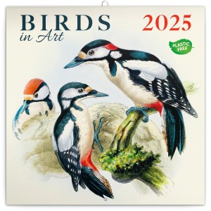 Lemeznapt�r Birds in Art 2027, PLAstIC FREE, 30 x 30 cm