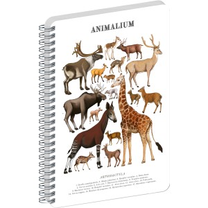 Spir�los Notesz Animalium ? Artiodactyls, blank, A4